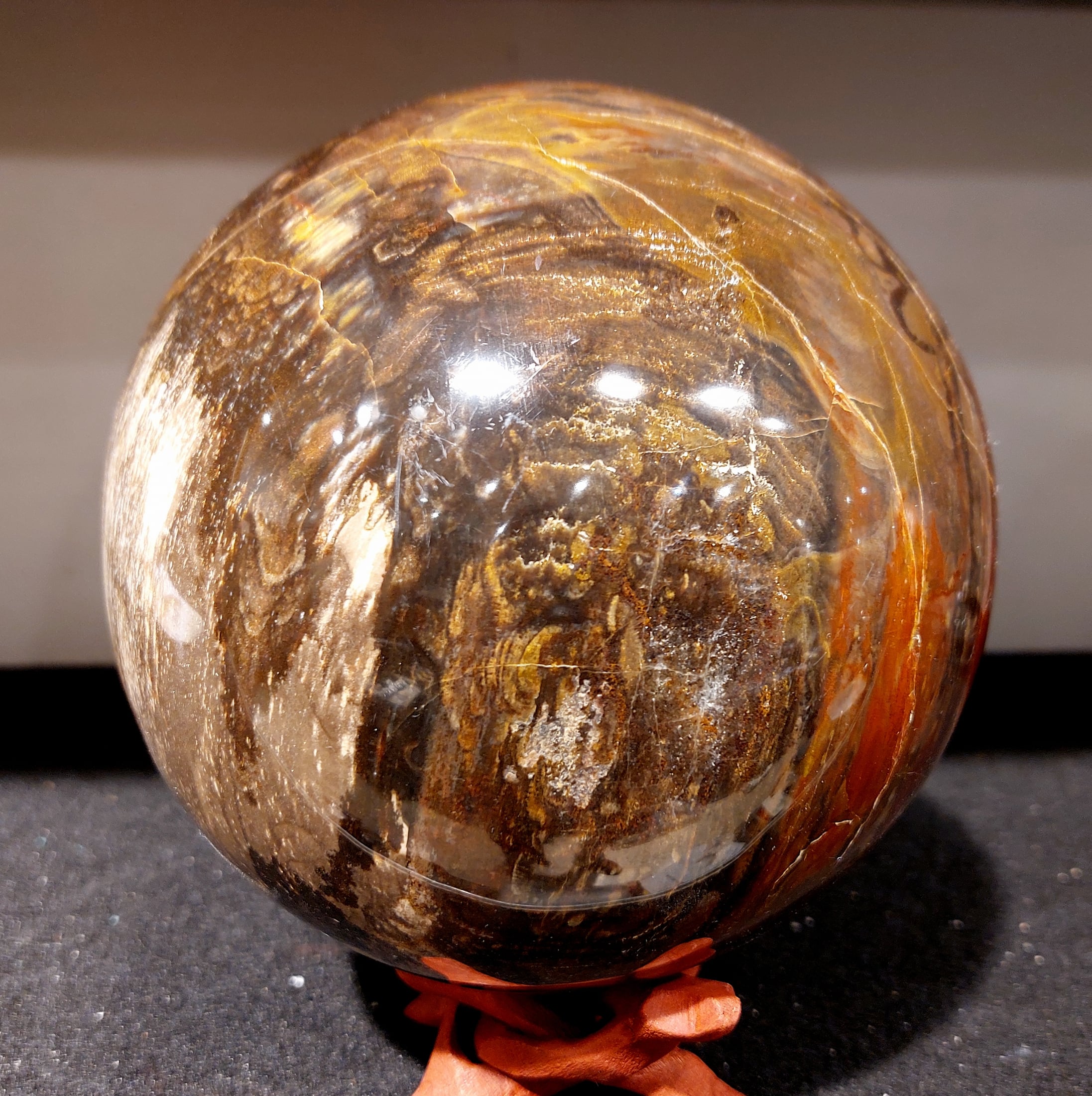 Versteinerte Holzkugel XL 3-4 kg, 14cm (Fossil) – Bild 3
