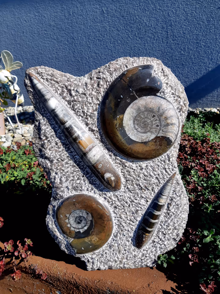 Ammonit - Orthoceras Skulptur – Bild 1