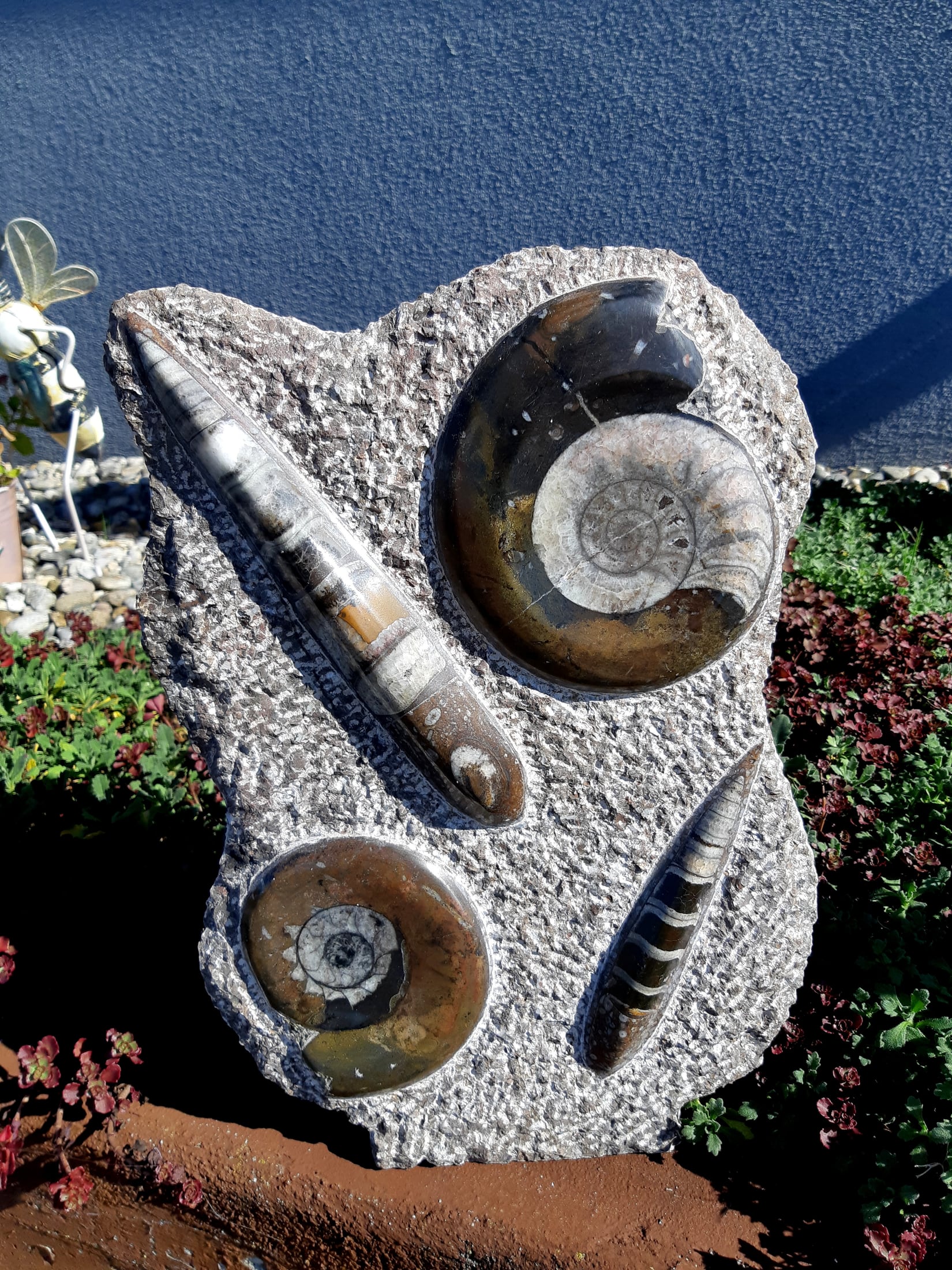 Ammonit - Orthoceras Skulptur – Bild 1