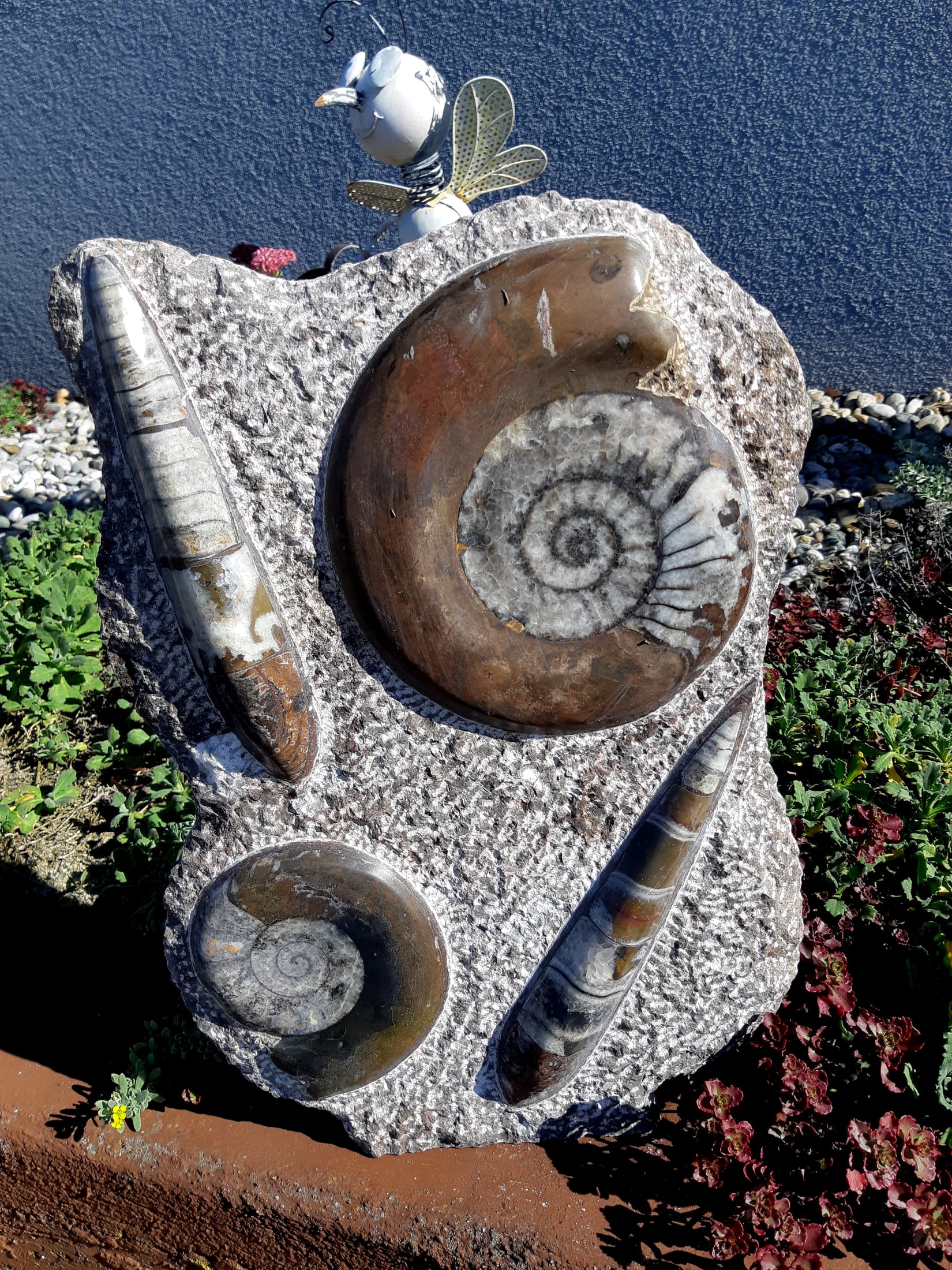 Ammonit - Orthoceras Skulptur – Bild 3