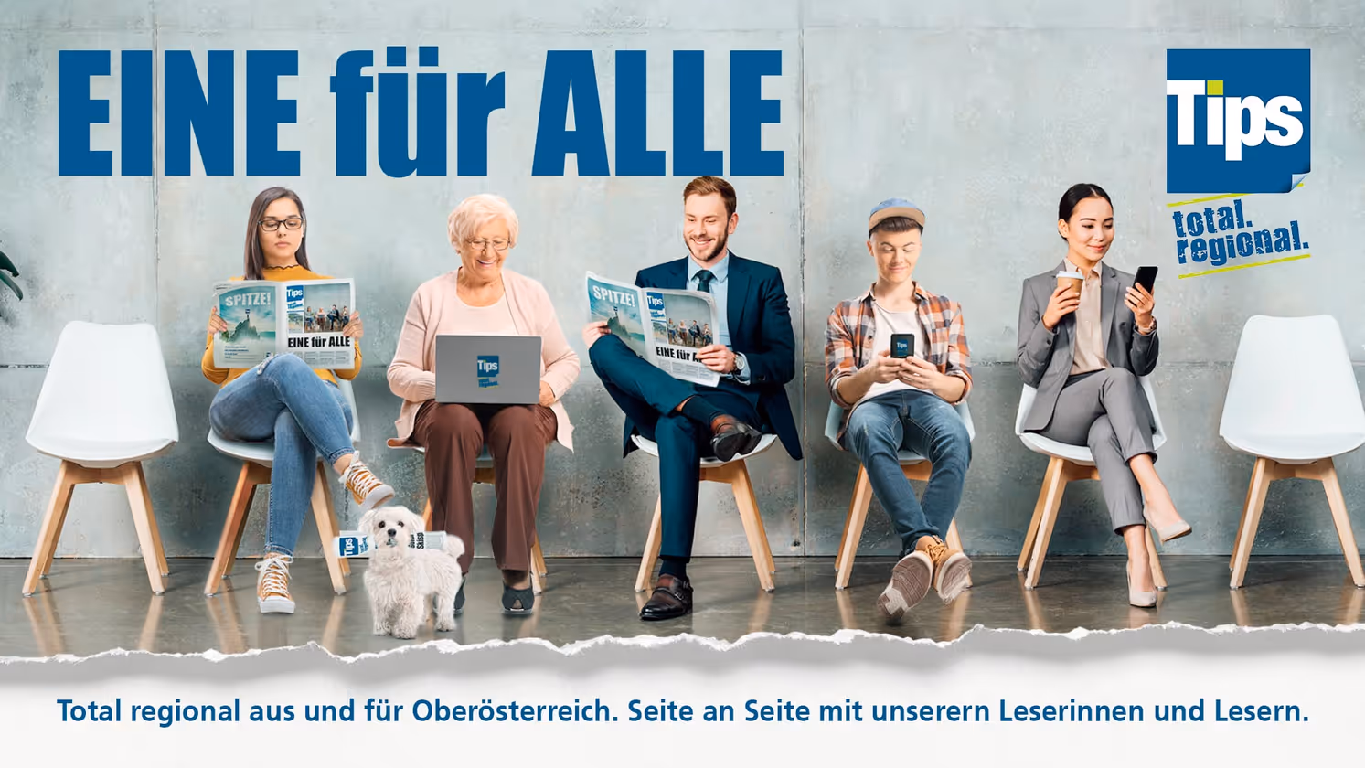 Tips Werbepaket OÖ Full Package klein