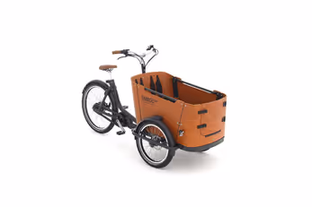 E-Lastenrad Babboe Go Mountain 500 Wh – Bild 1
