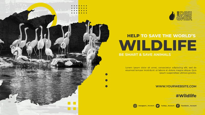 DIE DESIGNER | DEINE WEBSITE – Bild 2