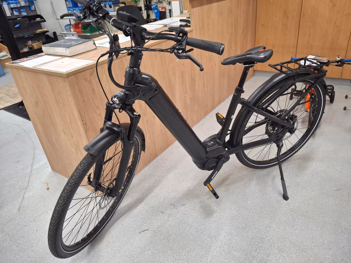 E-Bike: Zemo 12+ – Bild 1
