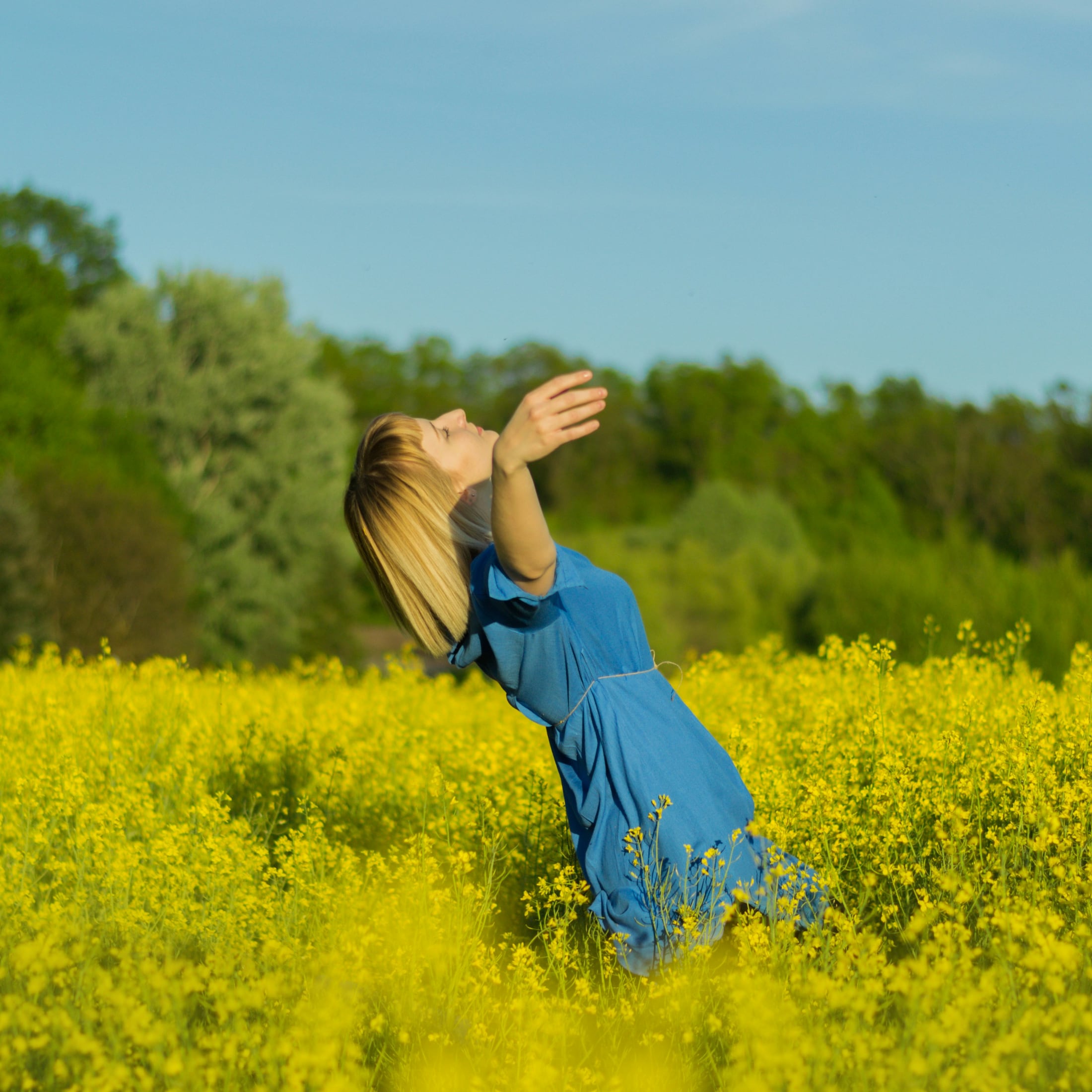 Emotionale Balance – Ihr emotionales Immunsystem stärken – Bild 2