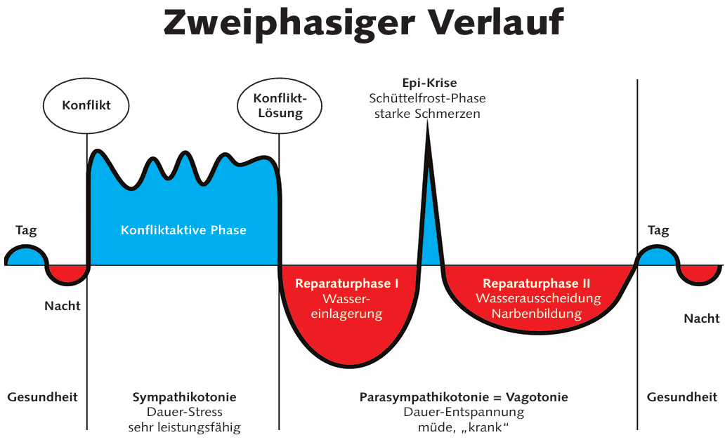 Symptome verstehen – einem hartnäckigen Symptom auf den Grund gehen – Bild 3