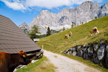 Busreise nach Schladming für 1 Person – Bild 1