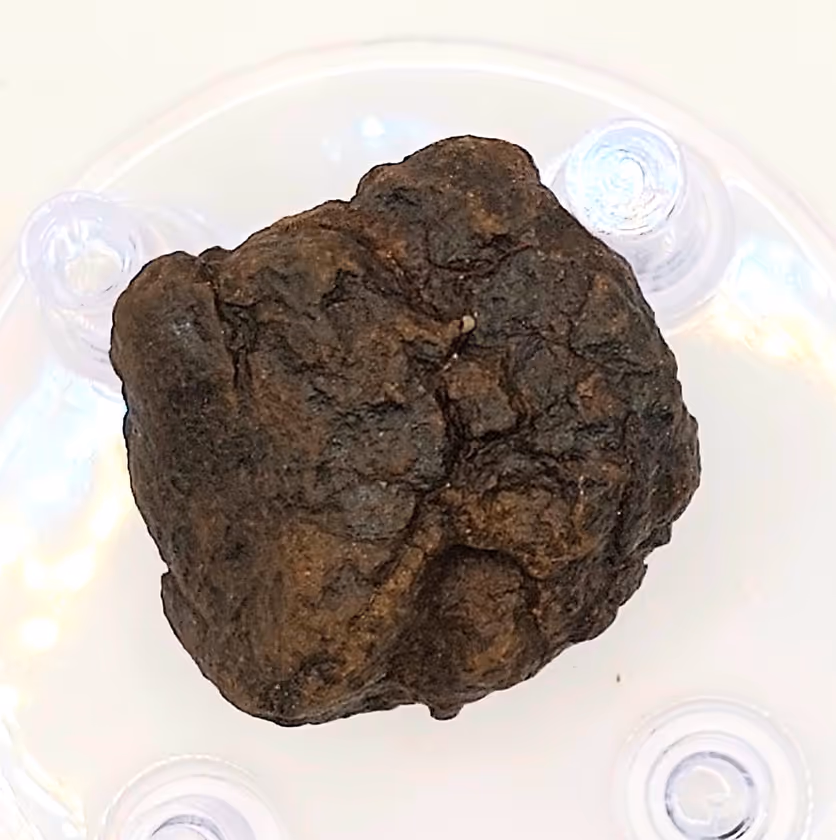 Meteorit Chondrit 250g-300g – Bild 1