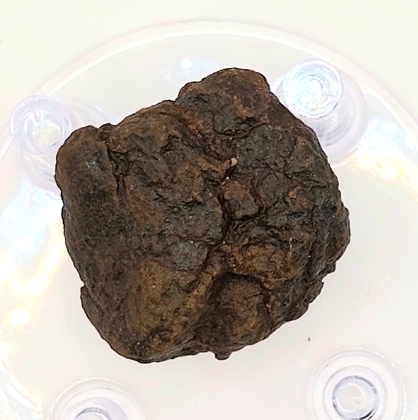 Meteorit Chondrit 250g-300g – Bild 1