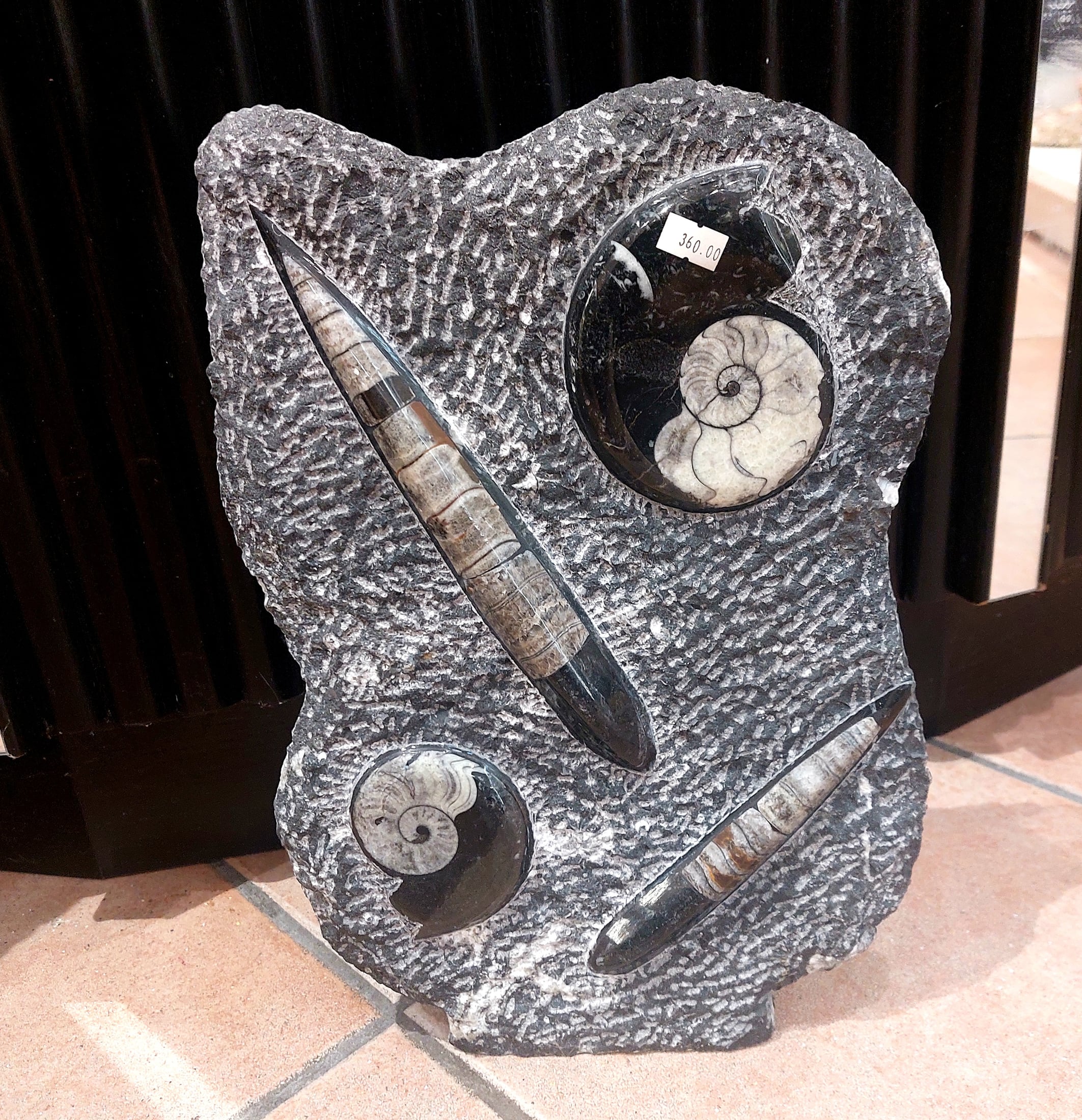 Ammonit - Orthoceras Skulptur – Bild 1