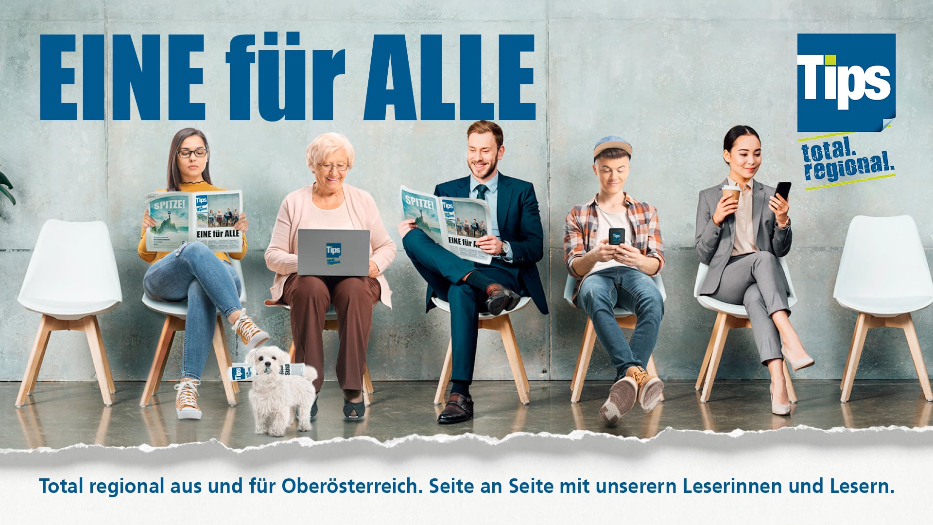 Tips Local Hero – Bild 1