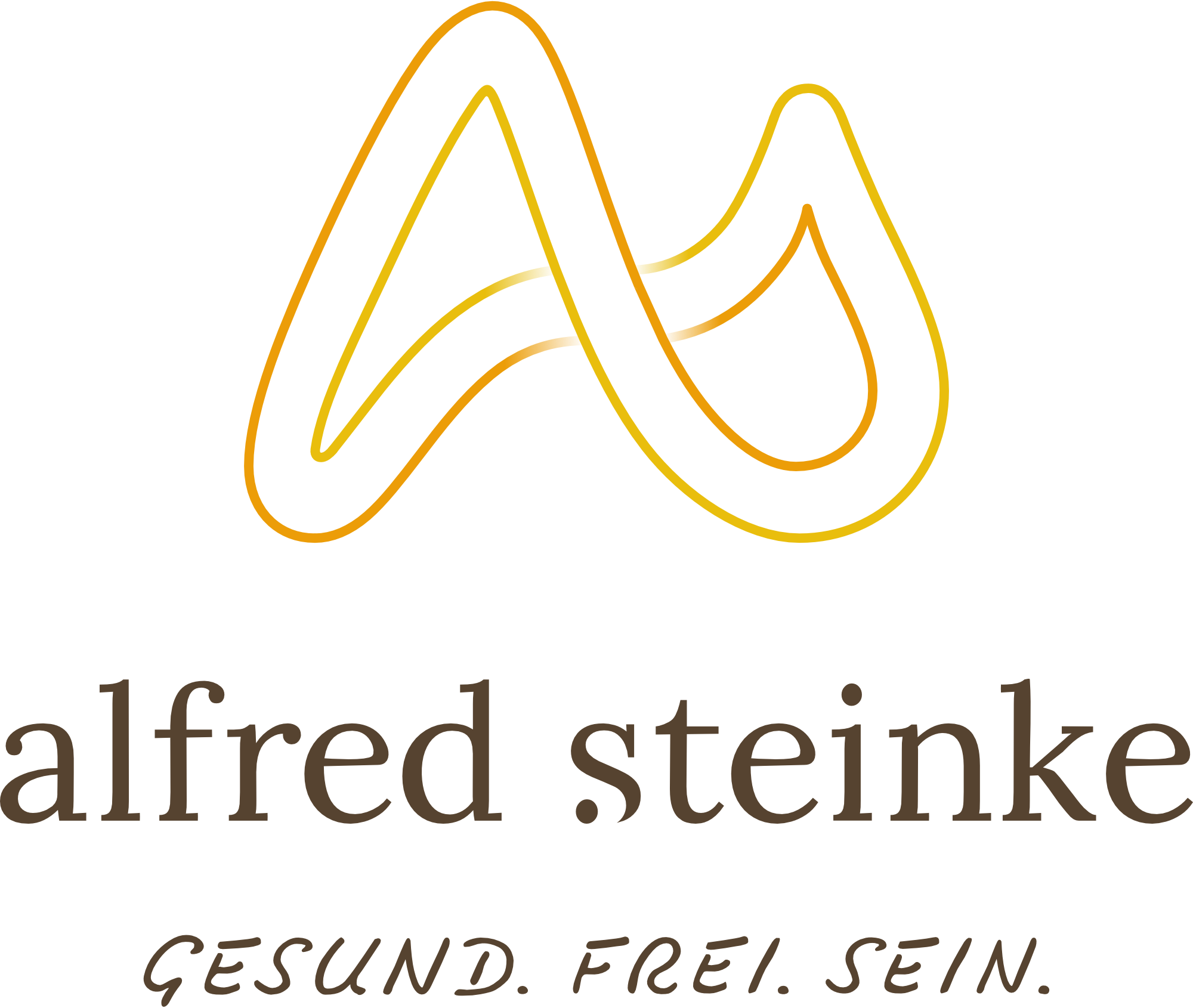Ing Alfred Steinke