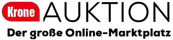 Logo der Auktionsplattform